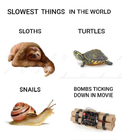 fauna - Slowest Things In The World Sloths Turtles Snails Bombs Ticking Down In Movie Bee