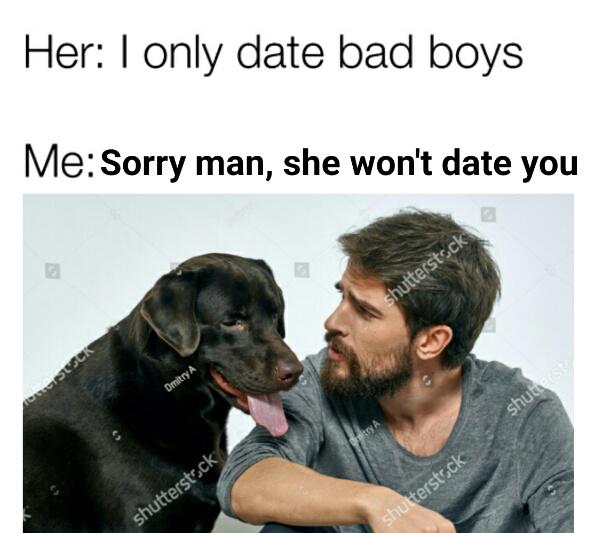 photo caption - Her I only date bad boys Me Sorry man, she won't date you shutterstock Dmitry A shut shutterstock shutterstock