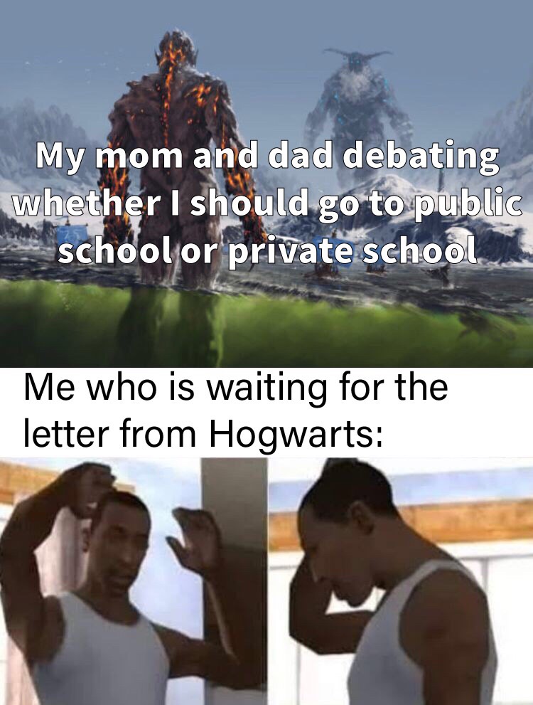 My mom and dad debating whether I should go to public school or private school. Me who is waiting for the letter from Hogwarts