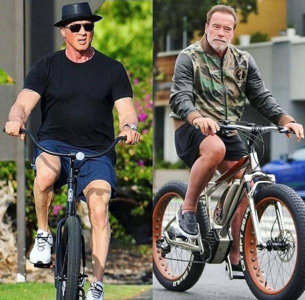random pics and memes - Arnold Schwarzenegger and Sylvester stallone - 7