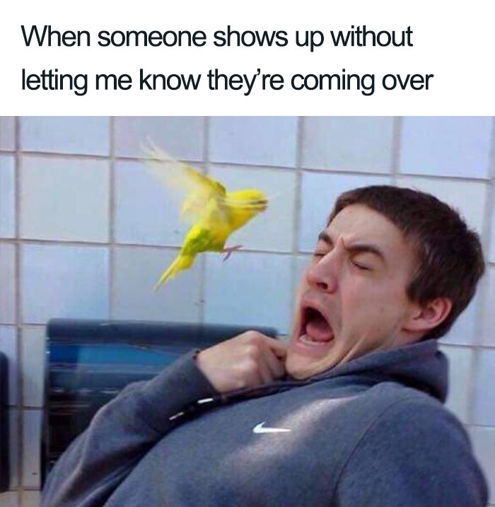 random pics and funny memes - meme when someone calls - When someone shows up without letting me know they're coming over