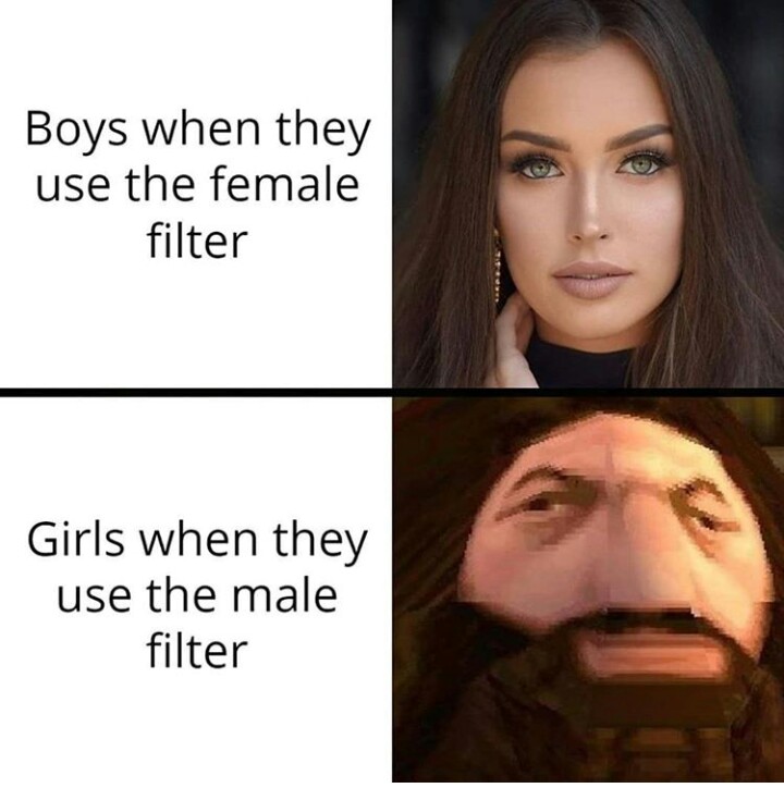 random pics and funny memes - harry potter ps1 hagrid - Boys when they use the female filter Girls when they use the male filter