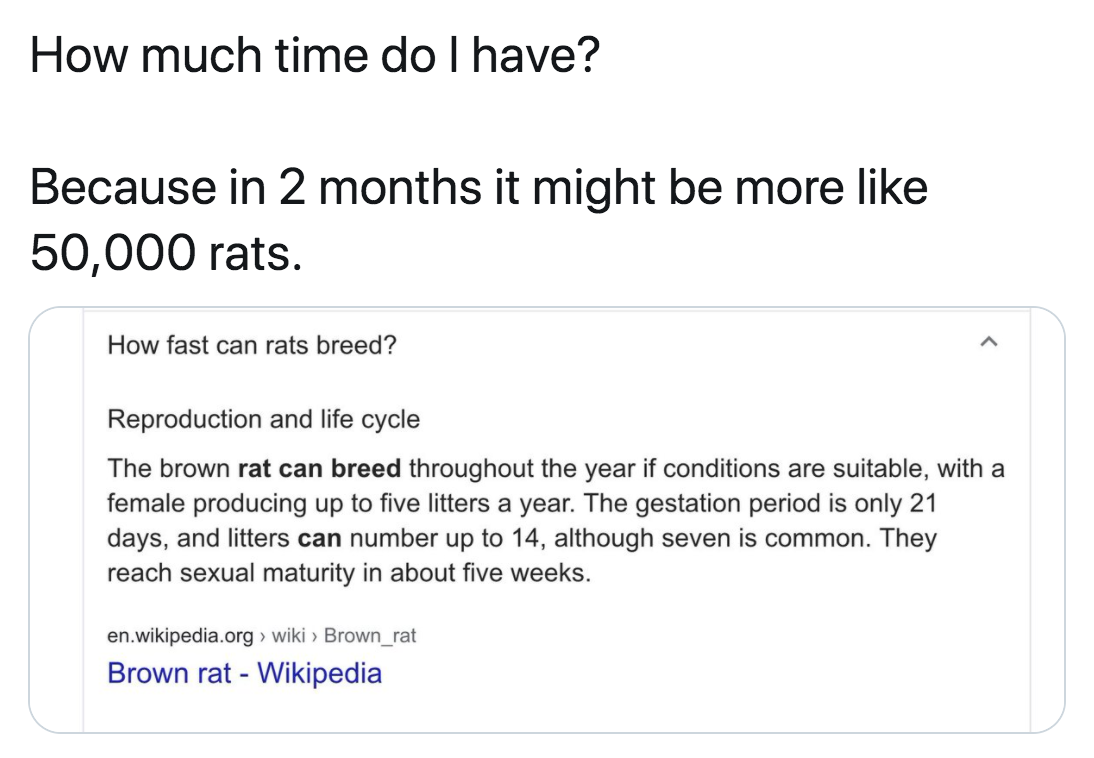 How much time do I have? Because in 2 months it might be more 50,000 rats. How fast can rats breed? Reproduction and life cycle The brown rat can breed throughout the year if conditions are suitable, with a female producing up to five litters a year. The…