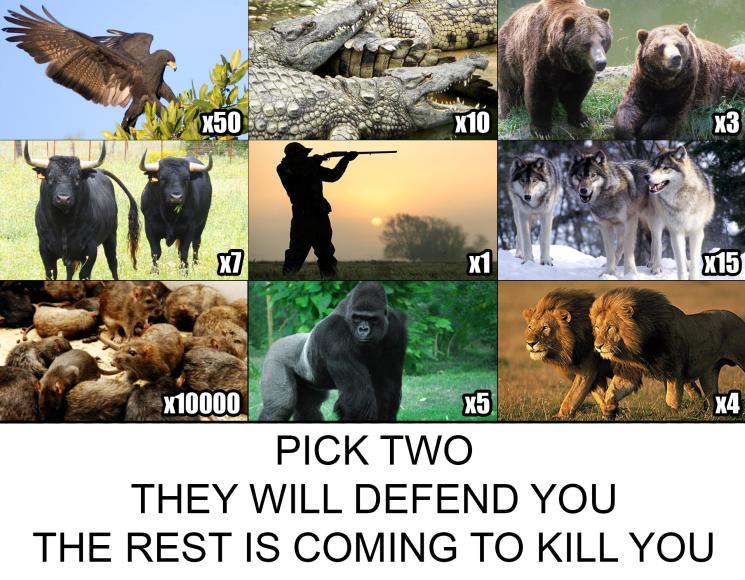 pick 2 the rest are coming to kill you - x50 X10 X3 X7 X1 X15 X10000 X5 X4 Pick Two They Will Defend You The Rest Is Coming To Kill You