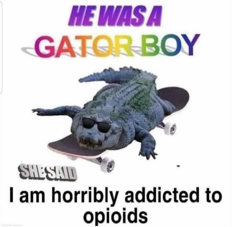 surreal memes - he was a gator boy meme - He Wasa Gater Boy Shesad I am horribly addicted to opioids