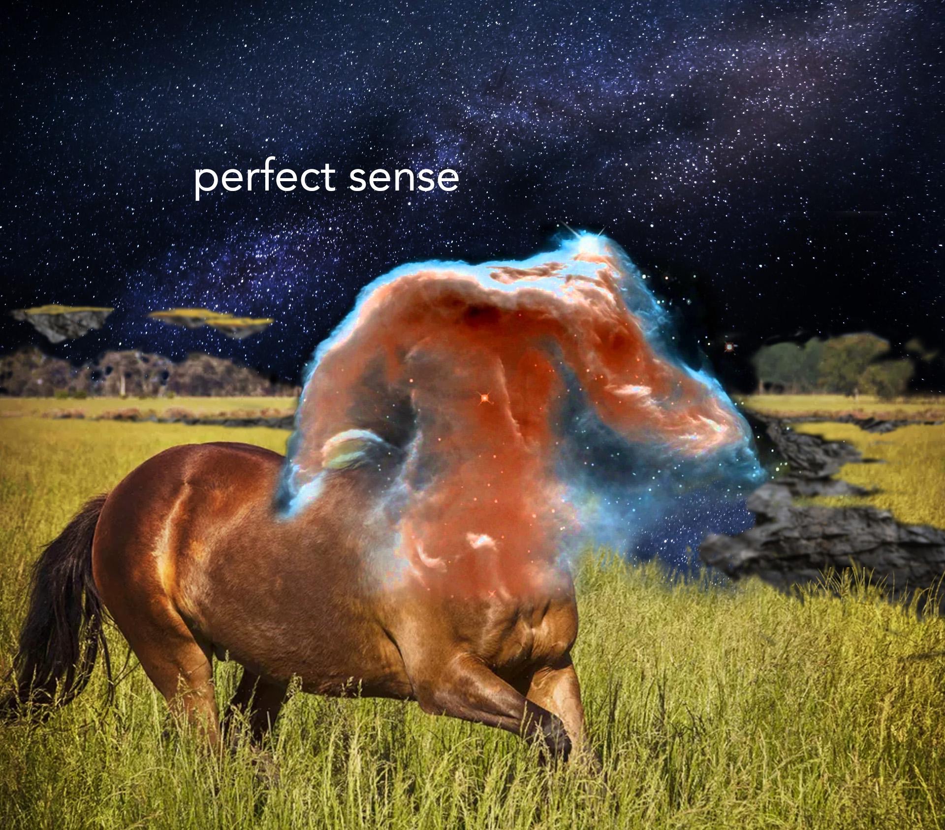 surreal memes - brown horse - perfect sense