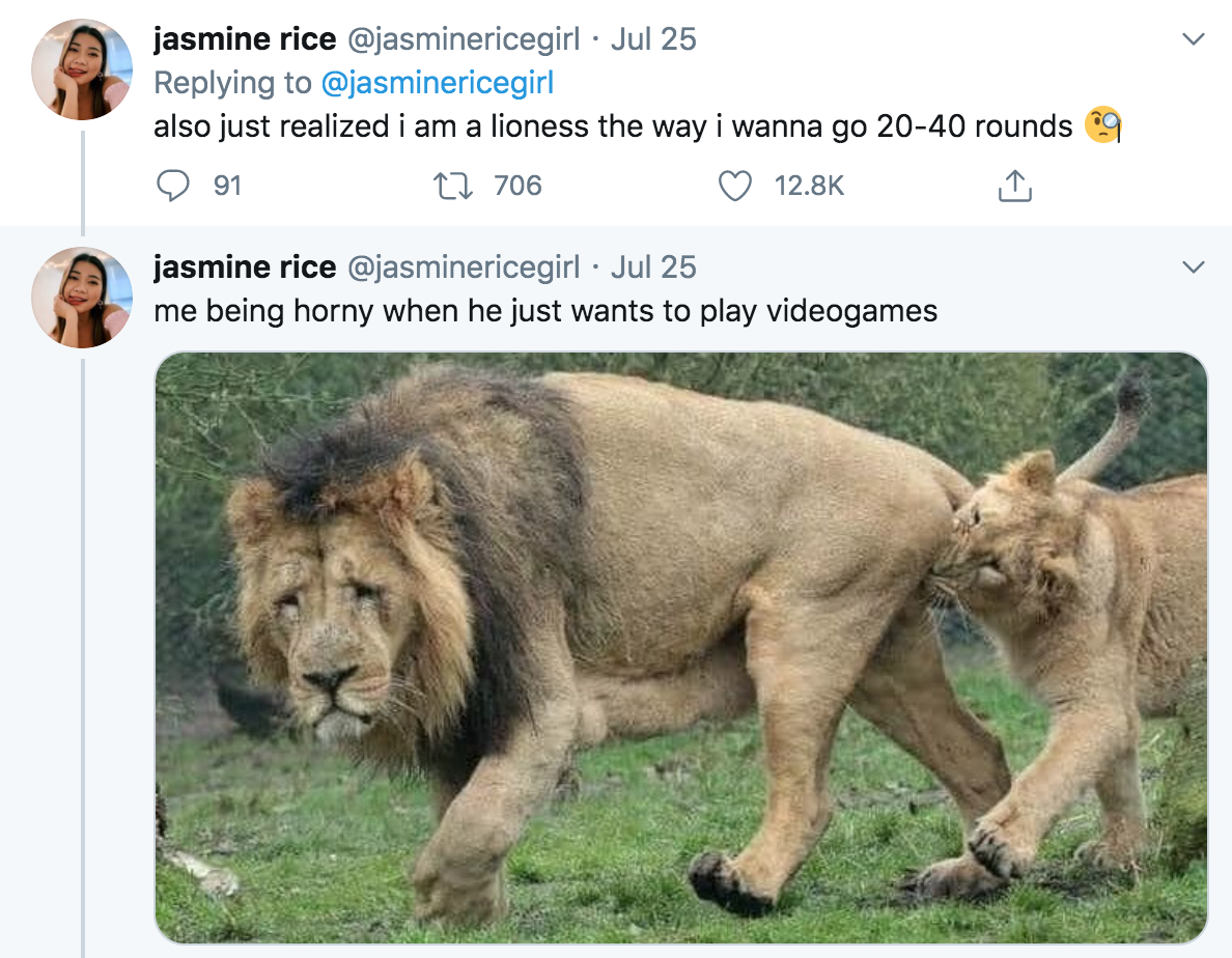 Sexually Exhausted Lion Becomes the Joke of Twitter