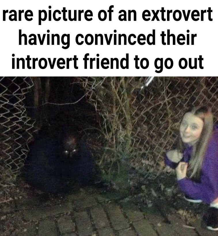 rare picture of an extrovert having convinced their introvert friend to go out