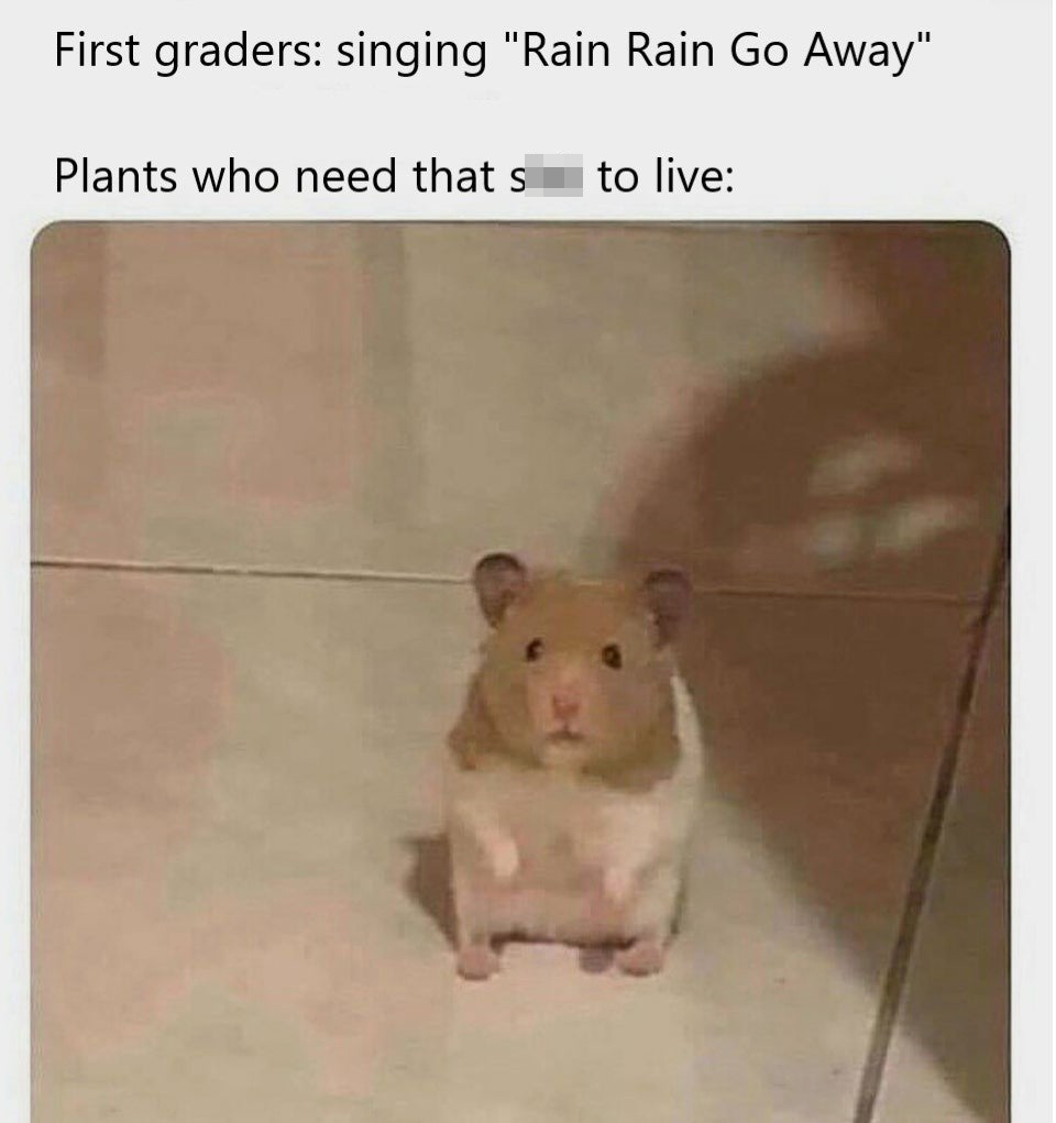 First graders singing rain rain go away. plants who need that shit to live.