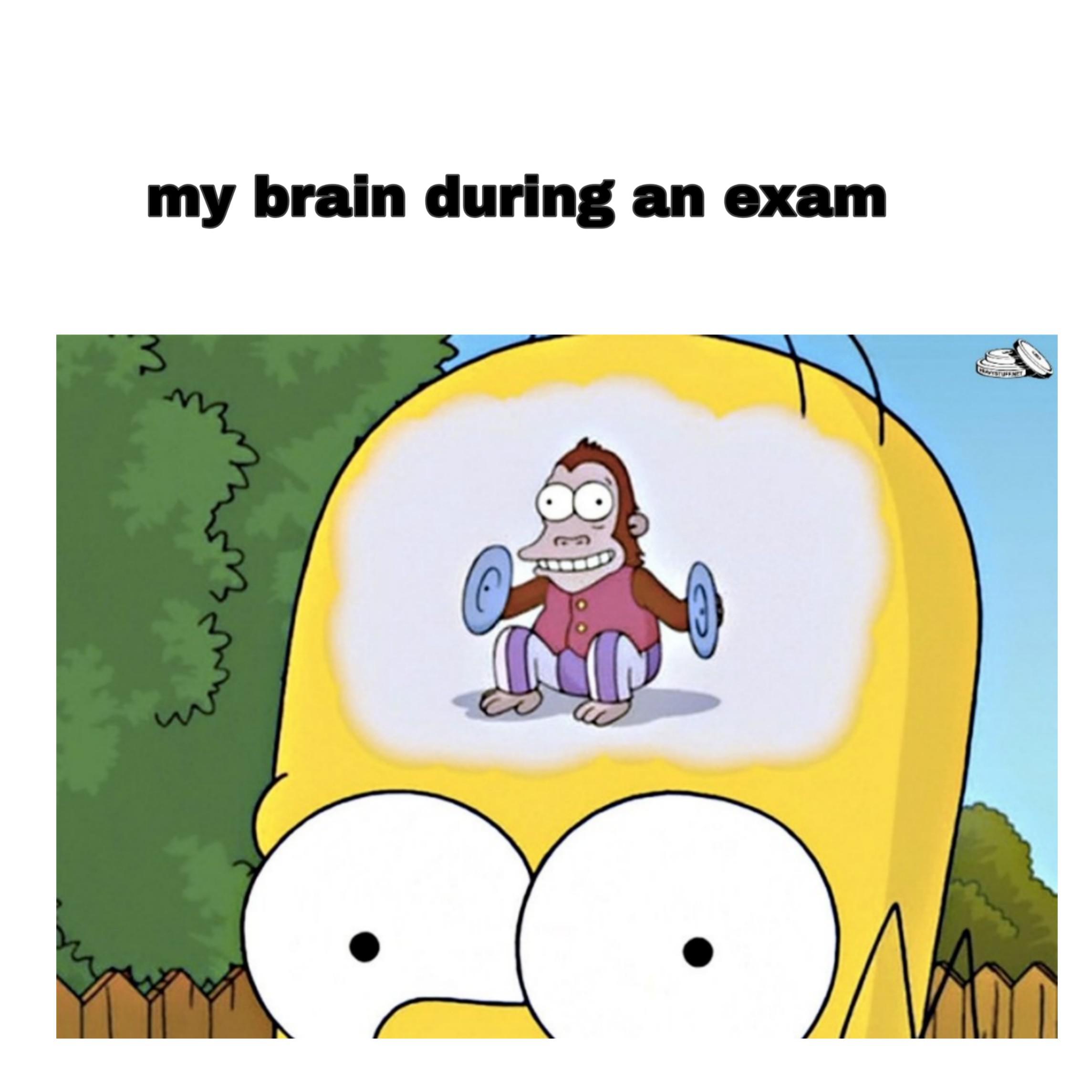 college dank memes - simpsons monkey cymbals - my brain during an exam 3 Listusene wo