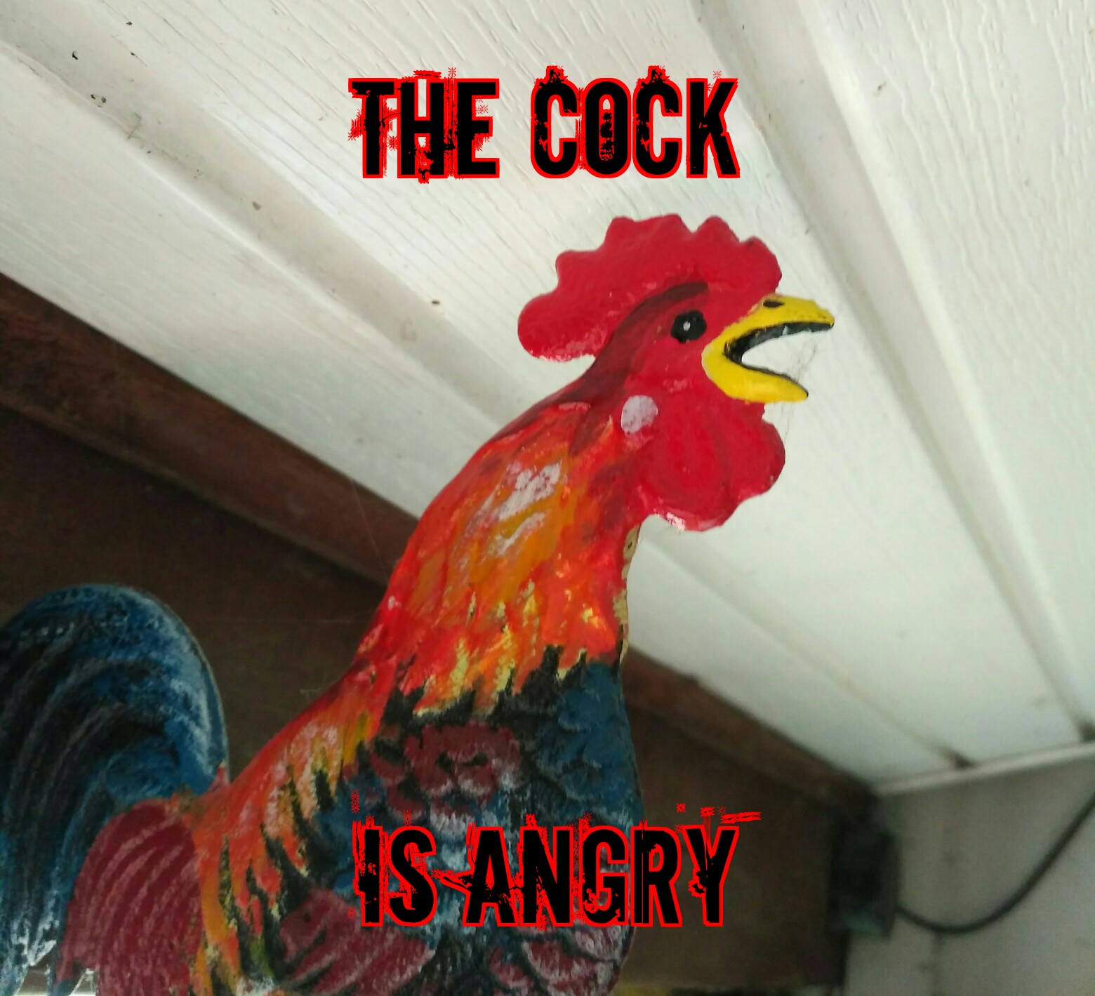 cursed memes - rooster - The Cock Is Angry