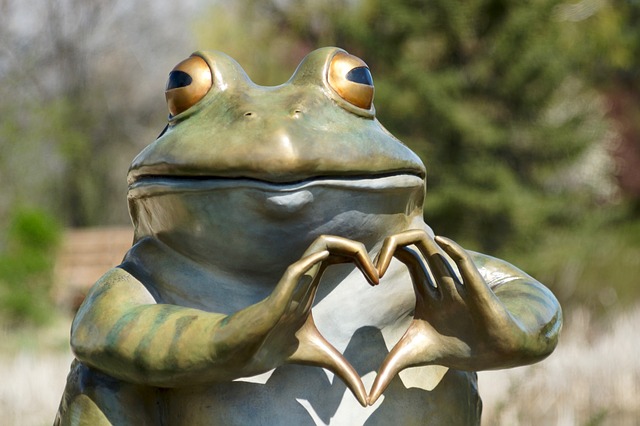 random pics - silly frog