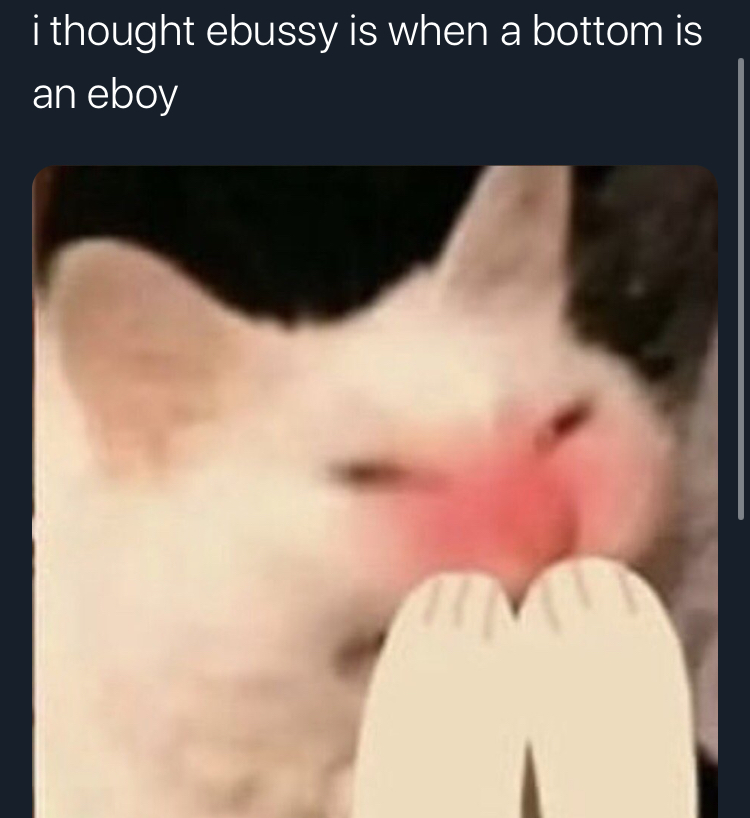ebussy - photo caption - i thought ebussy is when a bottom is an eboy