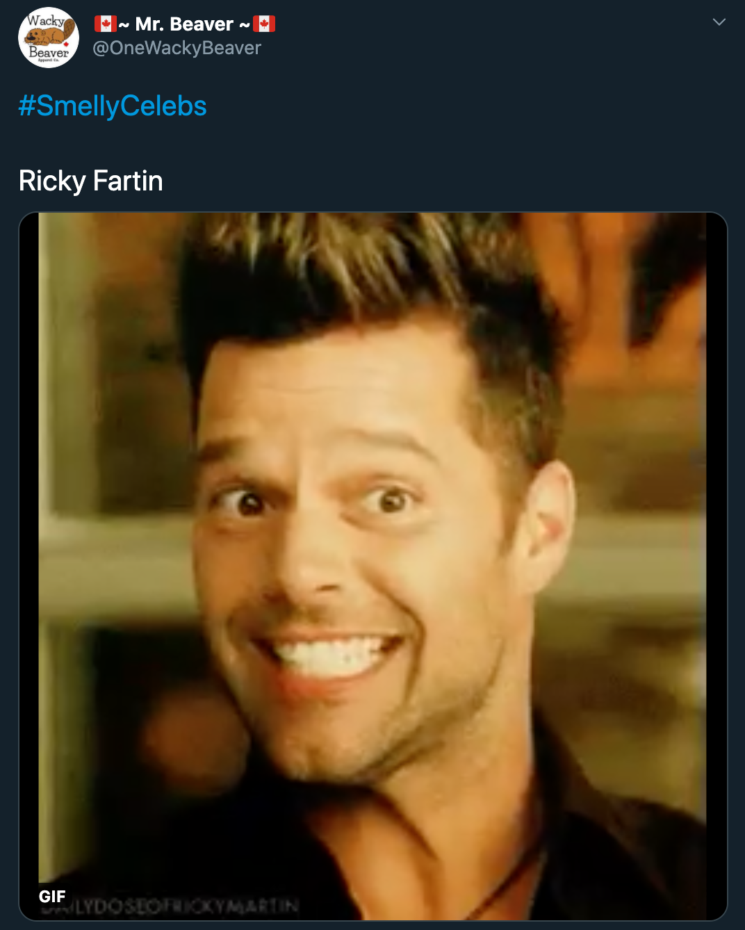 Ricky Fartin - ricky martin