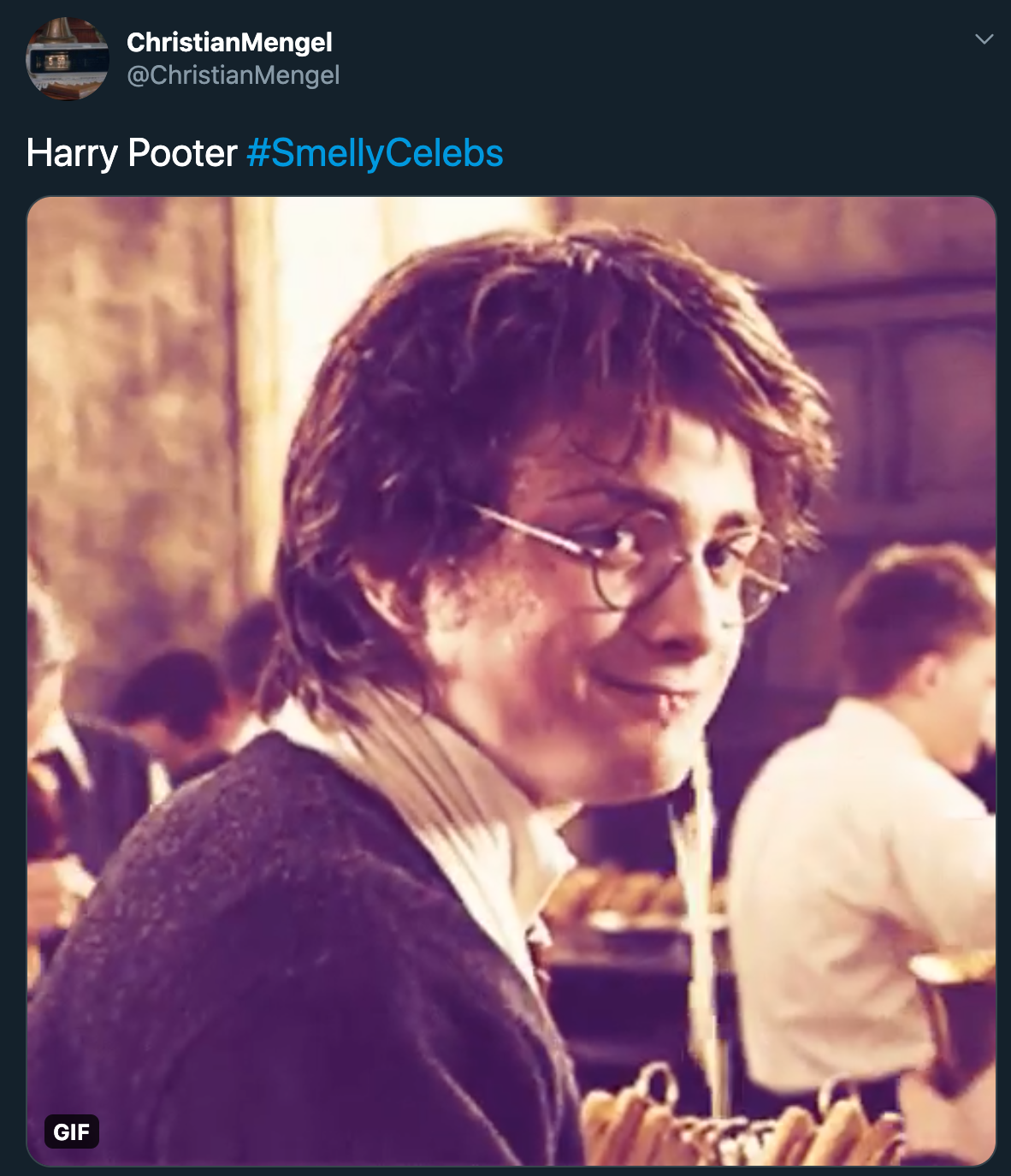 harry potter - harry pooter