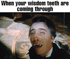 dank memes - GIF - When your wisdom teeth are coming through