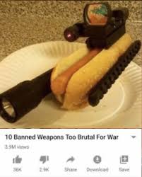 dank memes - tactical hotdog - 10 Banned Weapons Too Brutal For War 29M 36% She Download