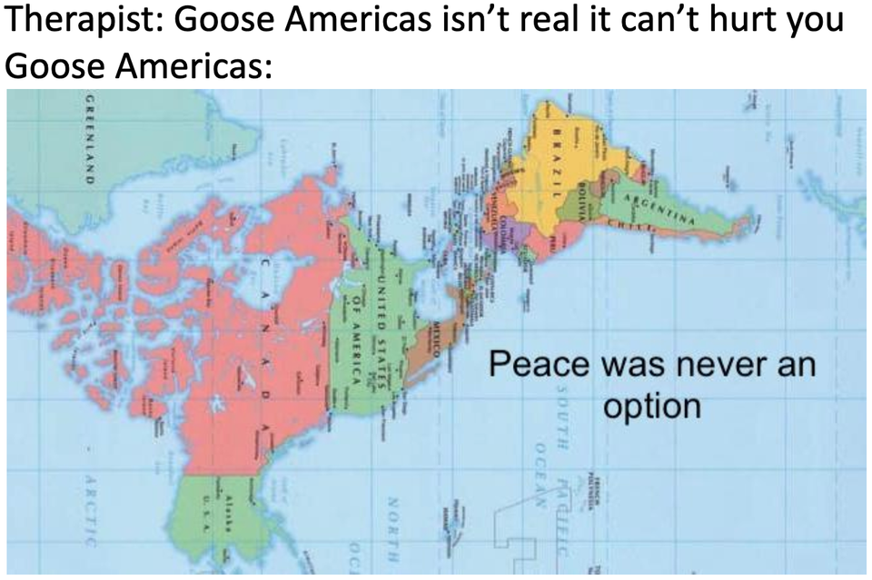 Therapist Goose Americas isn't real it can't hurt you Goose Americas
