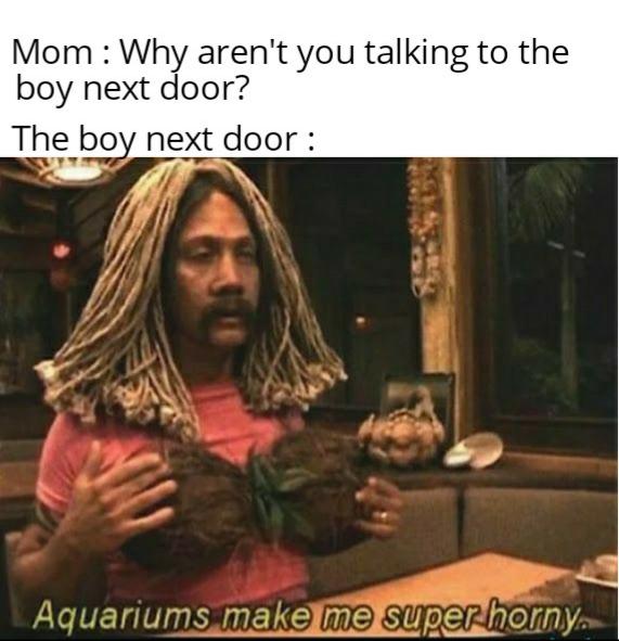 Mom Why aren't you talking to the boy next door? The boy next door Aquariums make me super horny