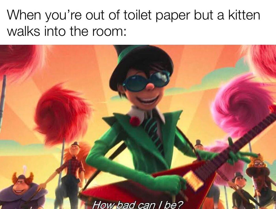 lorax movie memes - When you're out of toilet paper but a kitten walks into the room How bad can I be?