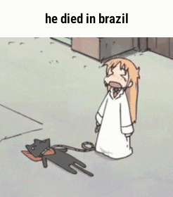 you're going to brazil - you are not going to brazil gif - he died in brazil