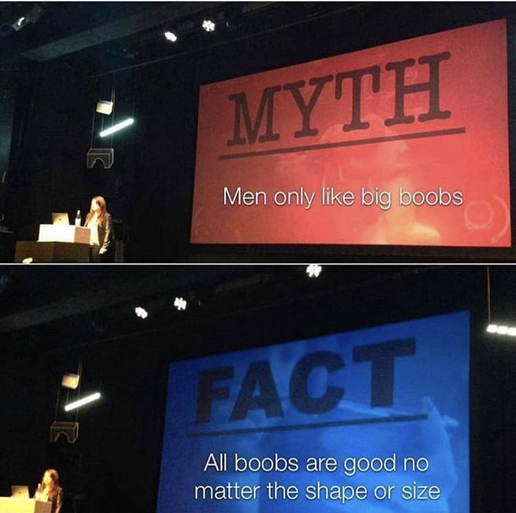 funny memes - myth they don t think it be like it is - Myth Men only big boobs Fact All boobs are good no matter the shape or size