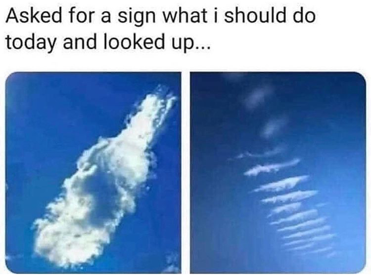funny memes - asked for a sign what i should do today and looked up - Asked for a sign what i should do today and looked up...