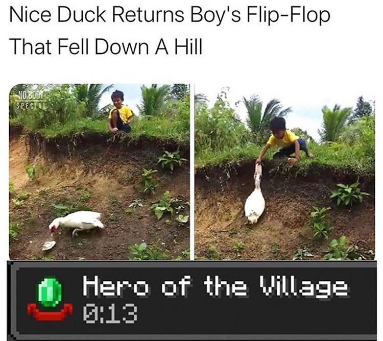 funny memes - minecraft title screen - Nice Duck Returns Boy's FlipFlop That Fell Down A Hill Nobody Special Hero of the Village