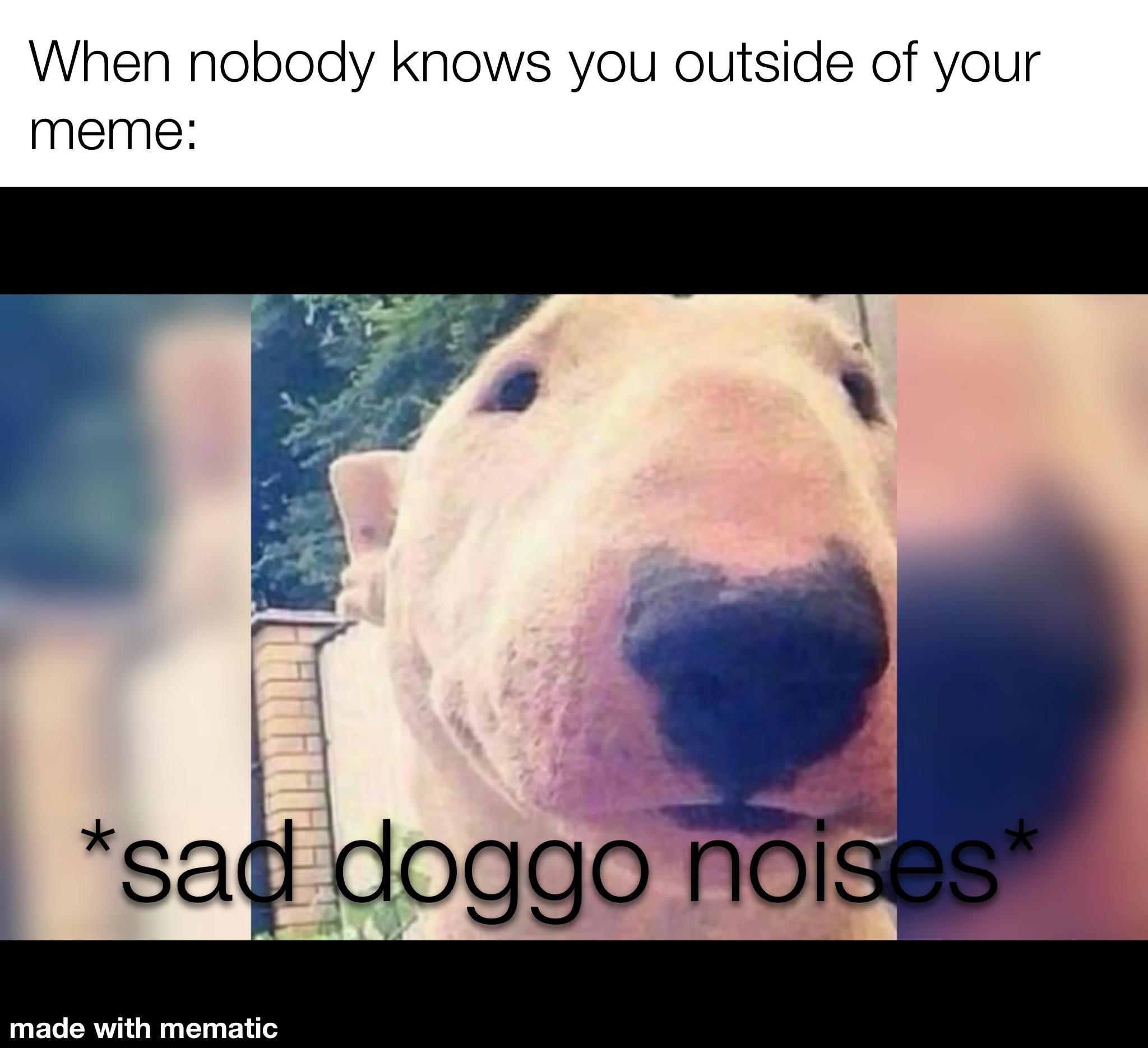 dank memes - like fire trucks and moster trucks - When nobody knows you outside of your meme sad doggo noises made with mematic