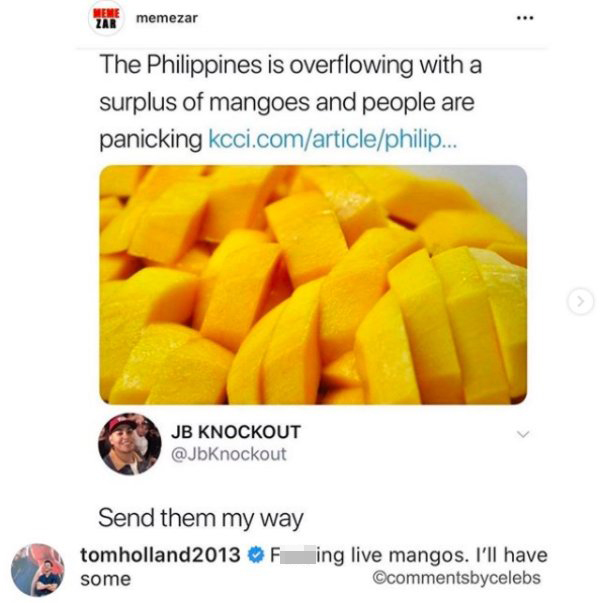 The Philippines is overflowing with a surplus of mangoes and people are panicking - Send them my way - tom holland Fucking live mangos. I'll have some