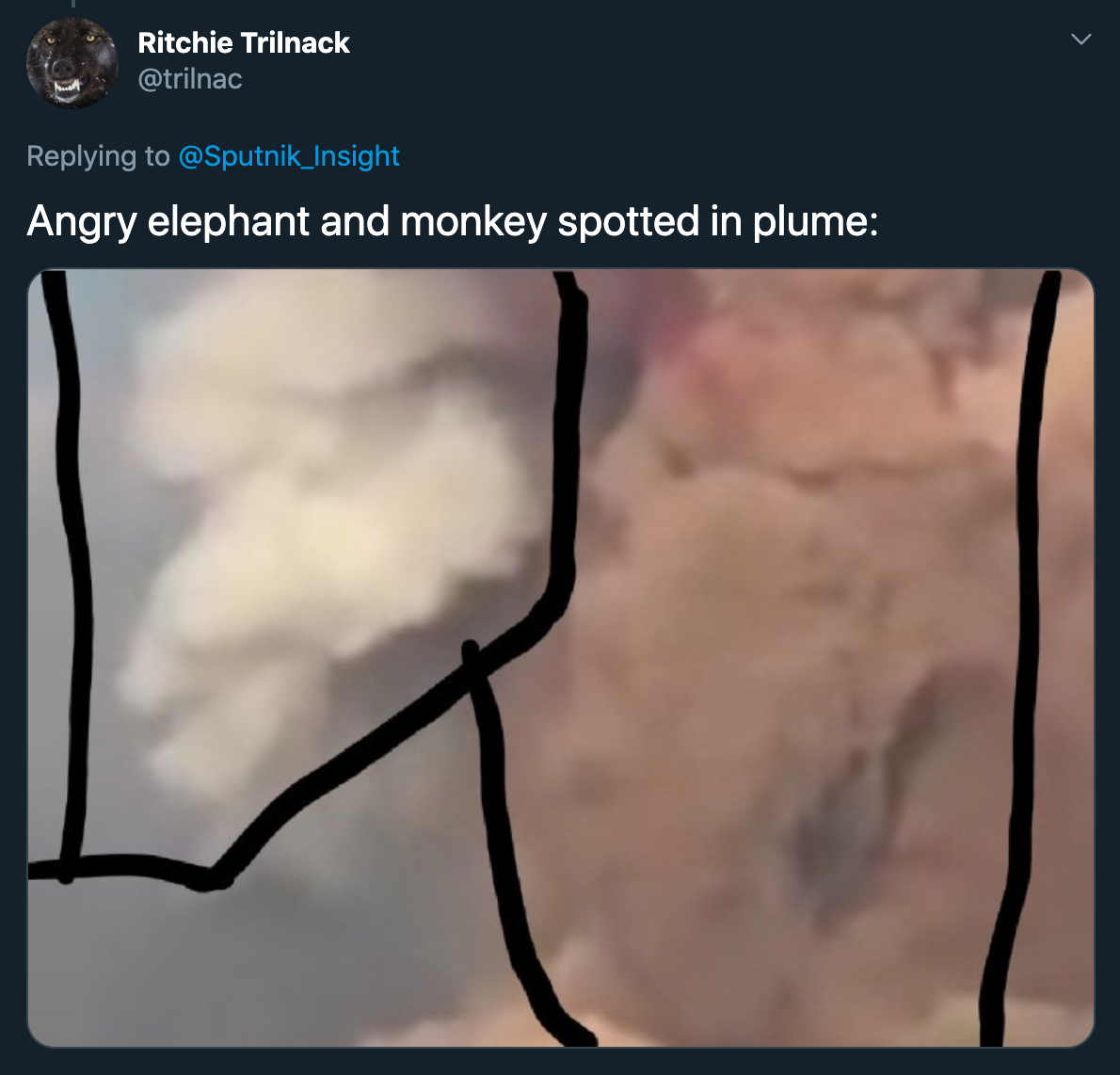 august 4 2020 explosions in beirut lebanon - angry elephant and monkey spotted in plume