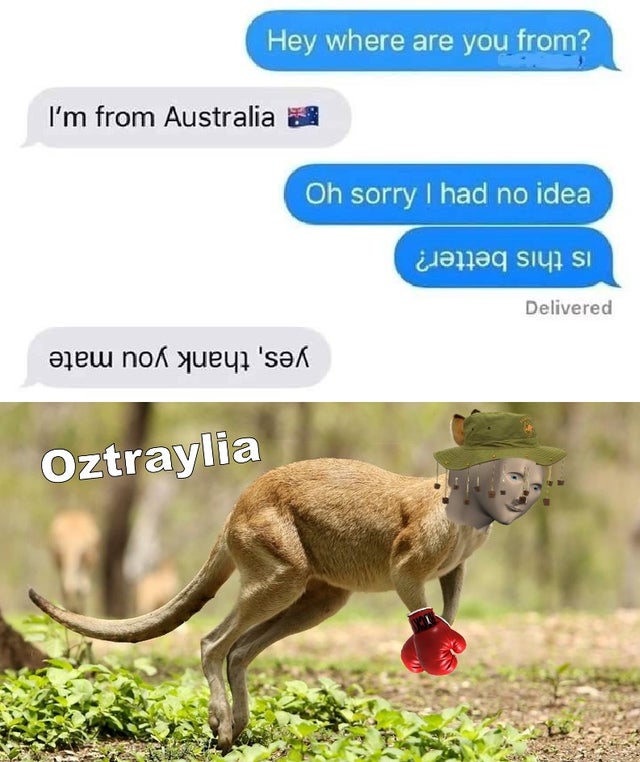 Hey where are you from? I'm from Australia 3 Oh sorry I had no idea nq siy7 Si Delivered lew nok yueyt 'sk Oztraylia