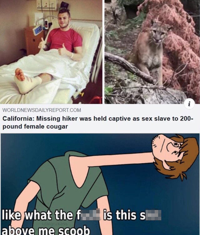 California Missing hiker was held captive as sex slave to 200 pound female cougar what the fuck is this shit about me scoob