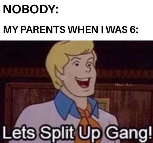 Nobody My Parents When I Was 6 Lets Split Up Gang!