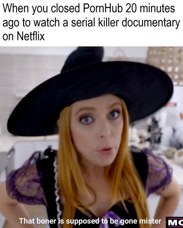 dirty memes - boner should be gone mister - When you closed PornHub 20 minutes ago to watch a serial killer documentary on Netflix That boner is supposed to be gone mister Mc