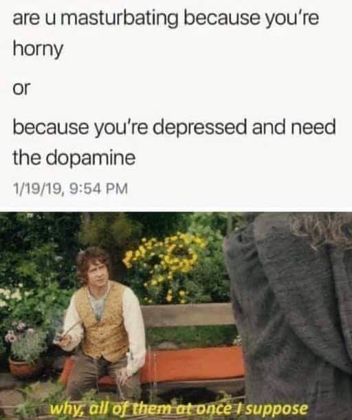 dirtymemes - all of them at once i suppose template - are u masturbating because you're horny or because you're depressed and need the dopamine 11919, why, all of them at once I suppose