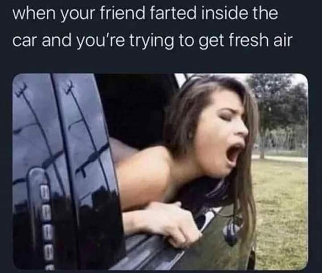 dirty memes - your friend farted inside the car - when your friend farted inside the car and you're trying to get fresh air