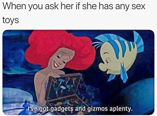 dirty memes - ve got gadgets and gizmos aplenty - When you ask her if she has any sex toys I've got gadgets and gizmos aplenty.