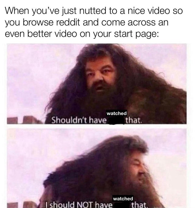 dirty memes - shouldn t have said that meme - When you've just nutted to a nice video so you browse reddit and come across an even better video on your start page watched Shouldn't have that watched I should Not have that.