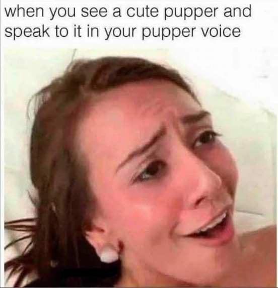 dirty memes - aww 9gag meme - when you see a cute pupper and speak to it in your pupper voice