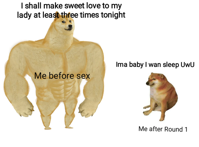 dirty memes - swole doge and cheems template - I shall make sweet love to my lady at least three times tonight Ima baby I wan sleep UwU Me before sex Me after Round 1