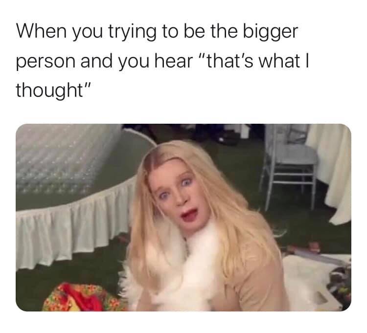 funny pic dump - Internet meme - When you trying to be the bigger person and you hear
