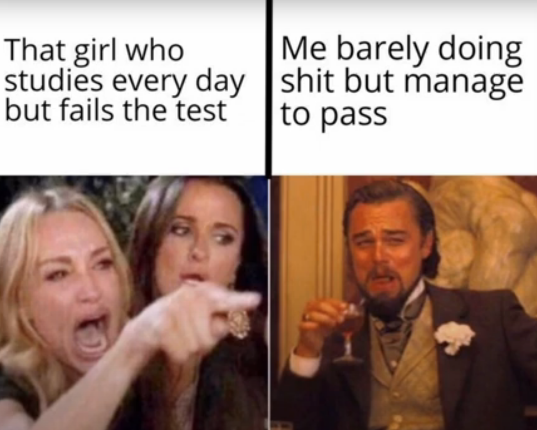 leonardo dicaprio laughing memes - girl cat meme template - That girl who Me barely doing studies every day shit but manage but fails the test to pass