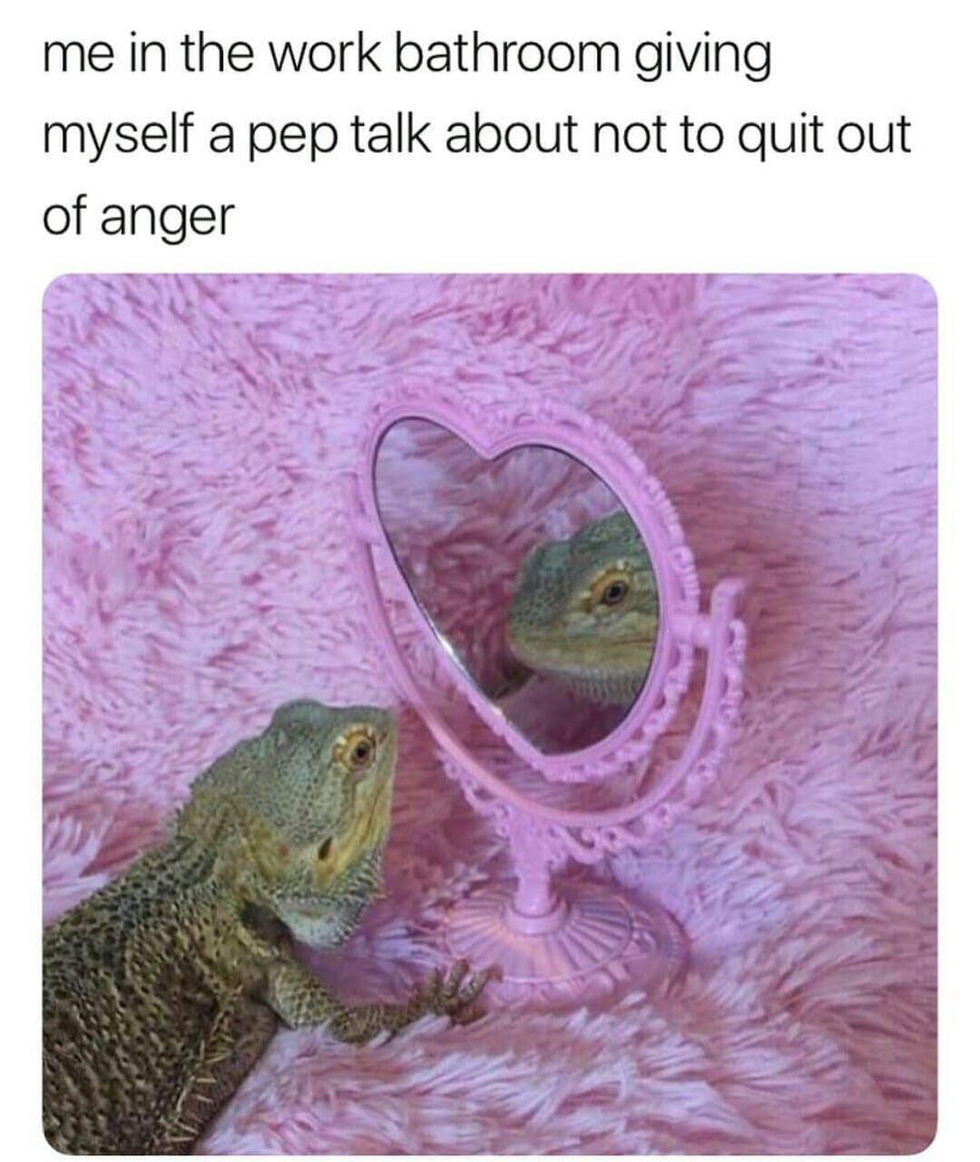 work meme - a finny meme about me in the work bathroom giving myself - me in the work bathroom giving myself a pep talk about not to quit out of anger