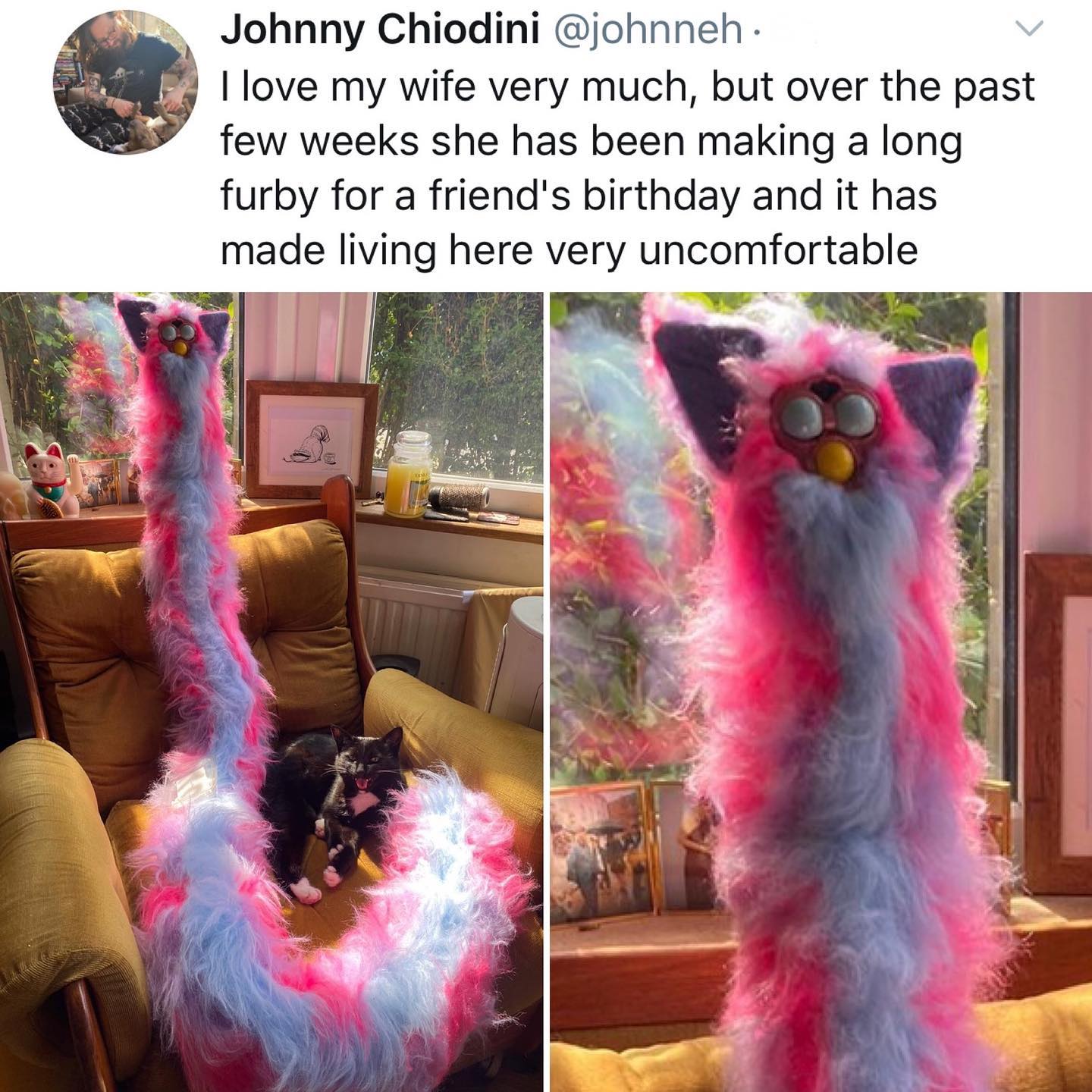 dank memes - twitter - fur - Johnny Chiodini . I love my wife very much, but over the past few weeks she has been making a long furby for a friend's birthday and it has made living here very uncomfortable