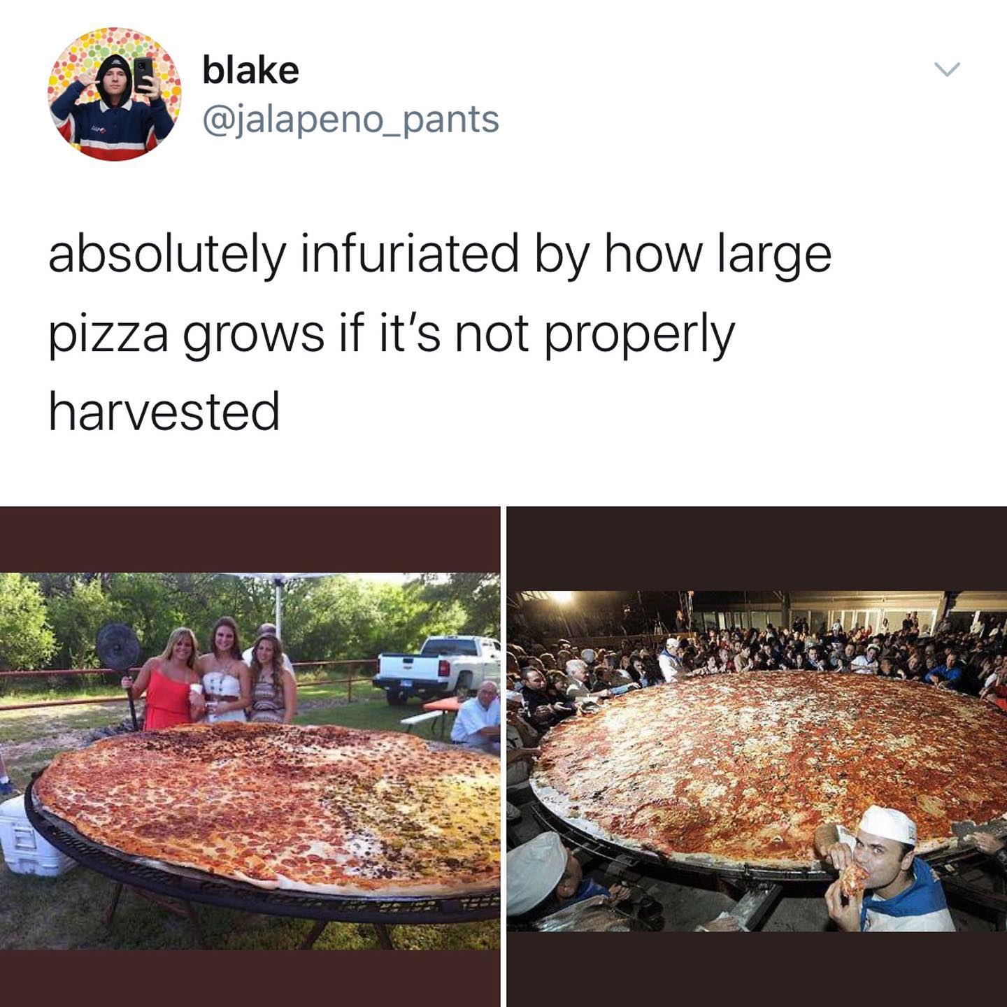 dank memes - twitter - biggest pizza in the world - blake absolutely infuriated by how large pizza grows if it's not properly harvested