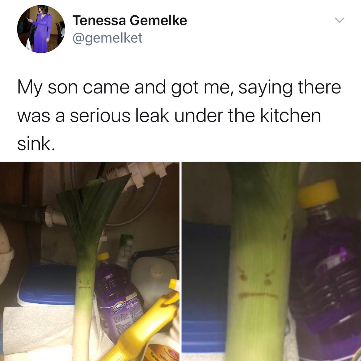 dank memes - twitter - serious leek meme - v Tenessa Gemelke My son came and got me, saying there was a serious leak under the kitchen sink. sabuloso Host Hardy
