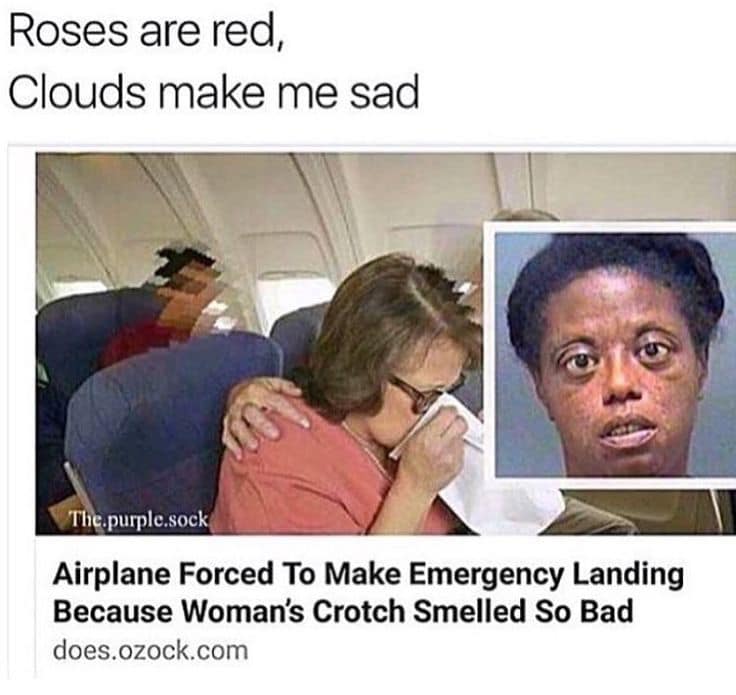 airplane forced to make emergency landing because woman's crotch smelled bad - Roses are red, Clouds make me sad The purple.sock Airplane Forced To Make Emergency Landing Because Woman's Crotch Smelled So Bad does.ozock.com