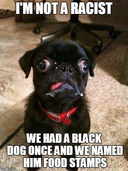 cross eyed pug - I'M Not A Racist We Had A Black Dog Once And We Named Him Food Stamps mglip.com