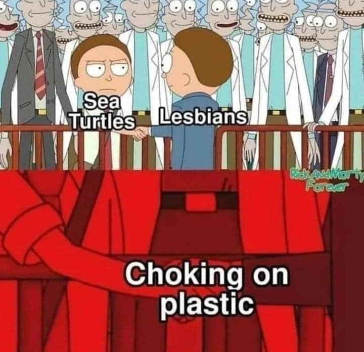 Rick and Morty - C Sea Turtles Lesbians Rs Amos Forever Choking on plastic